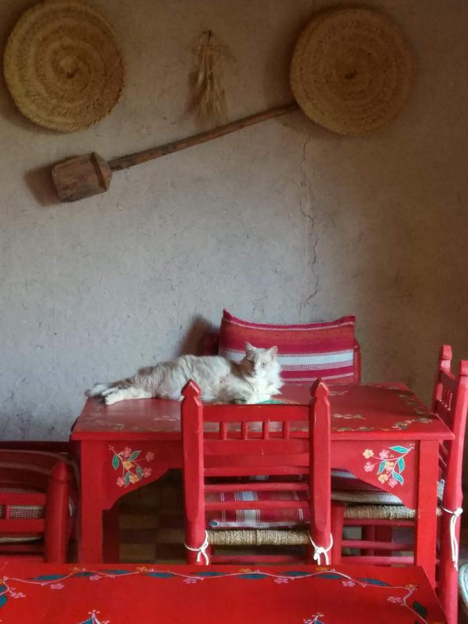 Kasbah Timdaf Demnat Exterior foto